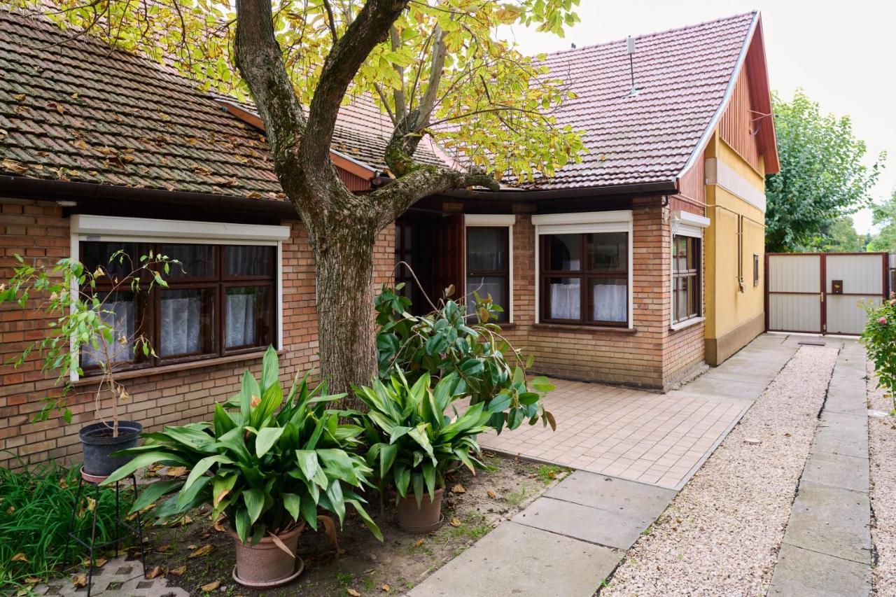 Kölcsey Vendégház Hódmezővásárhely Extérieur photo